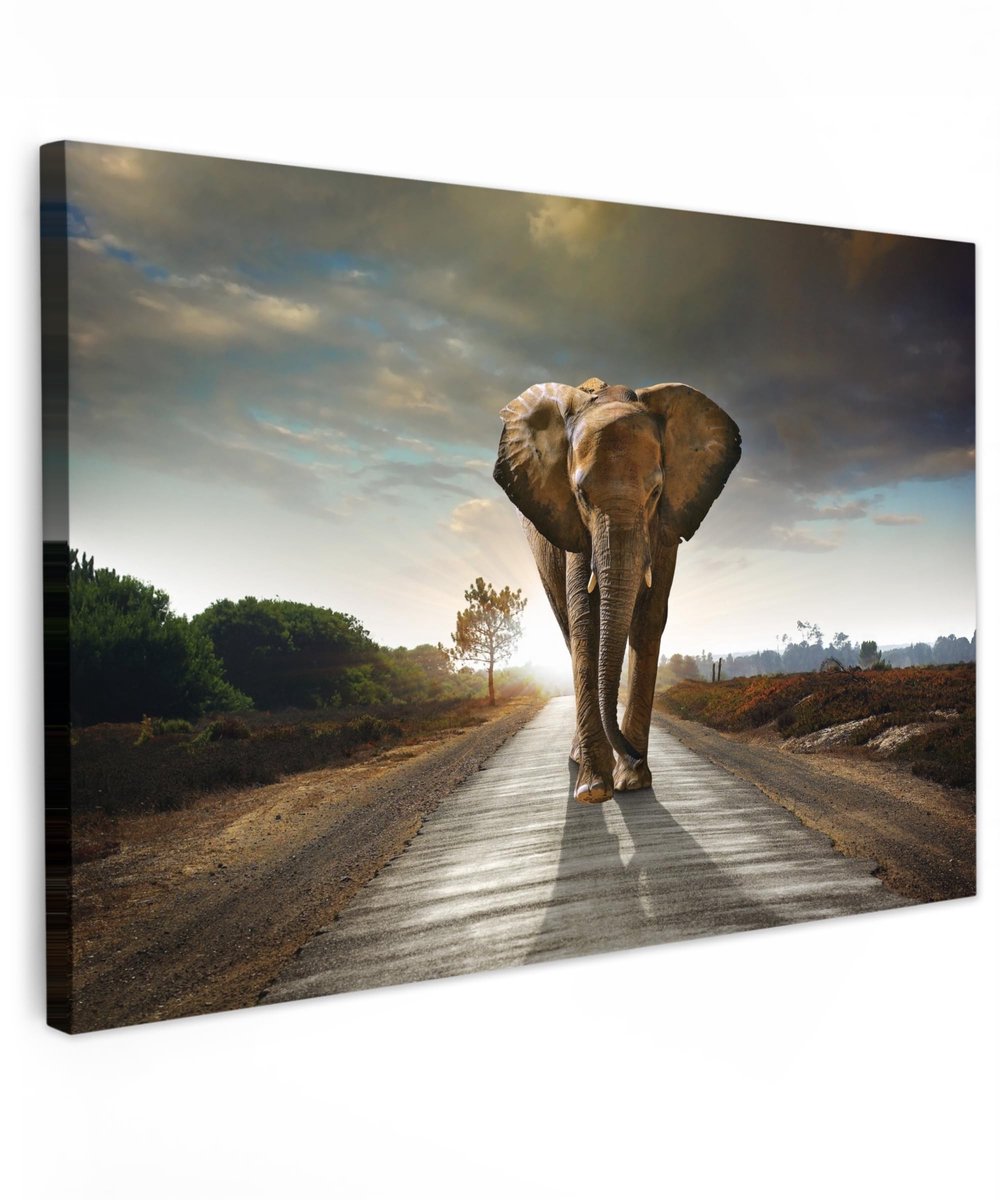 MTTproducts- Canvas Schilderij 120x80 cm - Wanddecoratie Dieren - Wanddecoratie Landschap - Wanddecoratie Woonkamer - Wanddecoratie Slaapkamer - Hoogwaardige Afdrukkwaliteit
