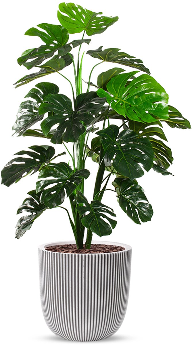 HTT Decorations Kunstplant Monstera in Planter Ball groove ivoor H135 cm