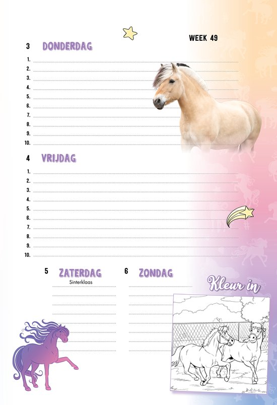 Lichtbruine pony met zwarte manen en staart, staand op een met gras begroeid strand.