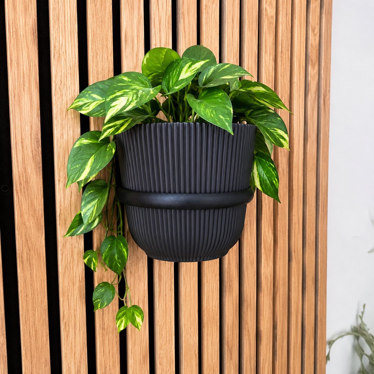Plantenring V2 voor akoestisch wandpaneel - Groot -Akupanel - akoestische panelen - Akoestisch paneel - 1 stuk - Ring voor Lattenwand - Boren niet nodig - Past op ieder paneel