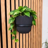Anneau végétal V2 pour panneau mural acoustique - Groot -Akupanel - panneaux acoustiques - Panneau acoustique - 1 pièce - Aucun Embouts requis - S'adapte à n'importe quel panneau