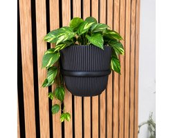 Plantenring V2 voor akoestisch wandpaneel - Groot -Akupanel - akoestische panelen - Akoestisch paneel - 1 stuk - Ring voor Lattenwand - Boren niet nodig - Past op ieder paneel