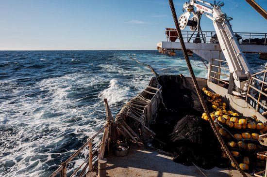 Vissersboot met netten en gele boeien op een blauwe zee.