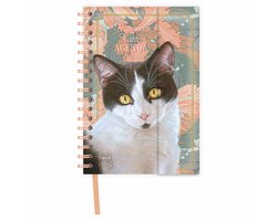 Franciens Katten spiraalagenda (luxe) Boris 2027