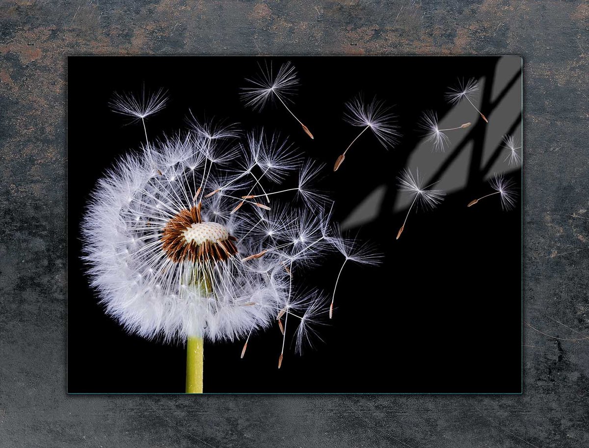TMK ArtDeko Serie - Beschermplaat Glas - 70x52 cm - Koken - Snijden - Moderne Decoratie