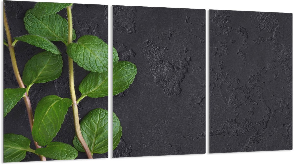 TMK ArtDeko - Serie 3x30 - Beschermplaat - Gehard Glas - Veelzijdig