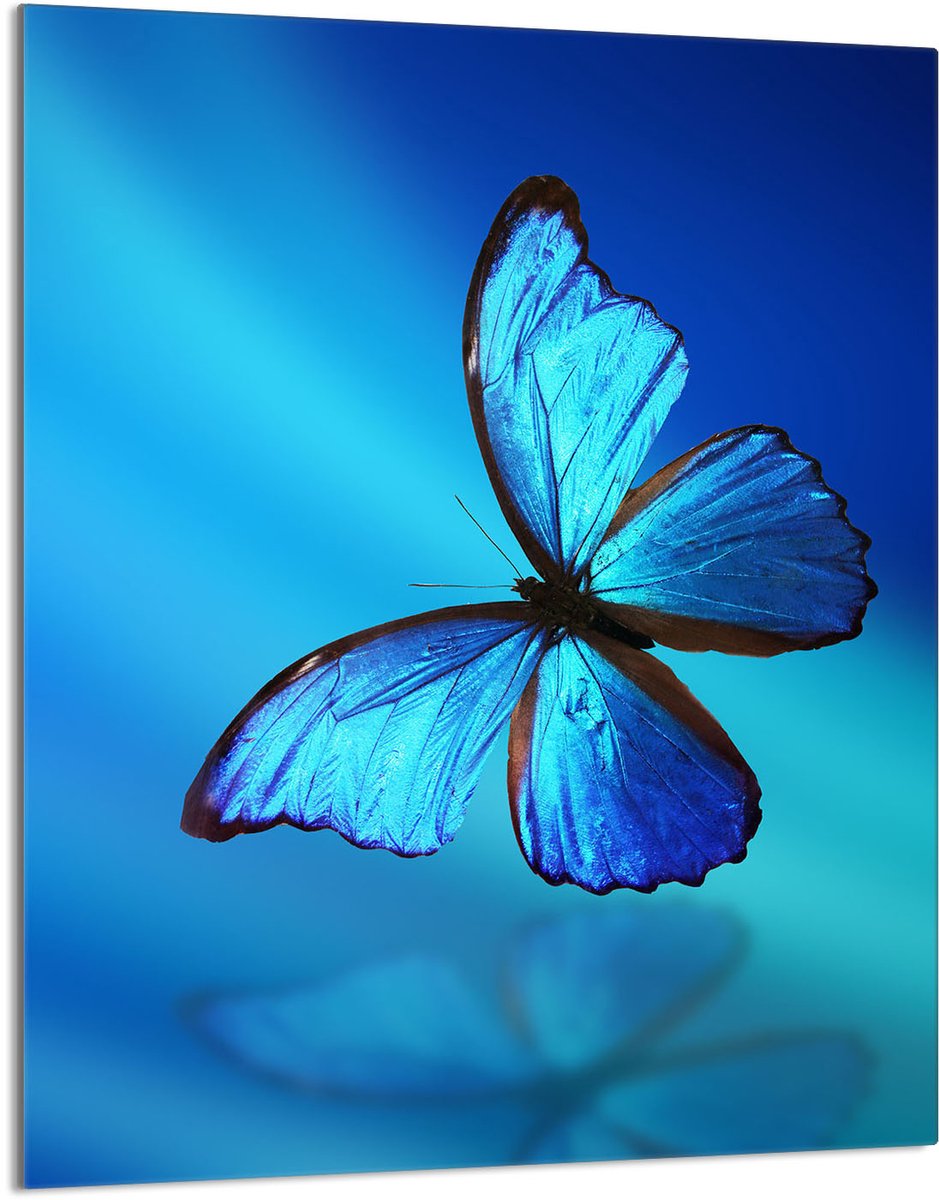 TMK ArtDeko - Snijplank - Glas - 40x52 cm - Hartvormig - Motyl