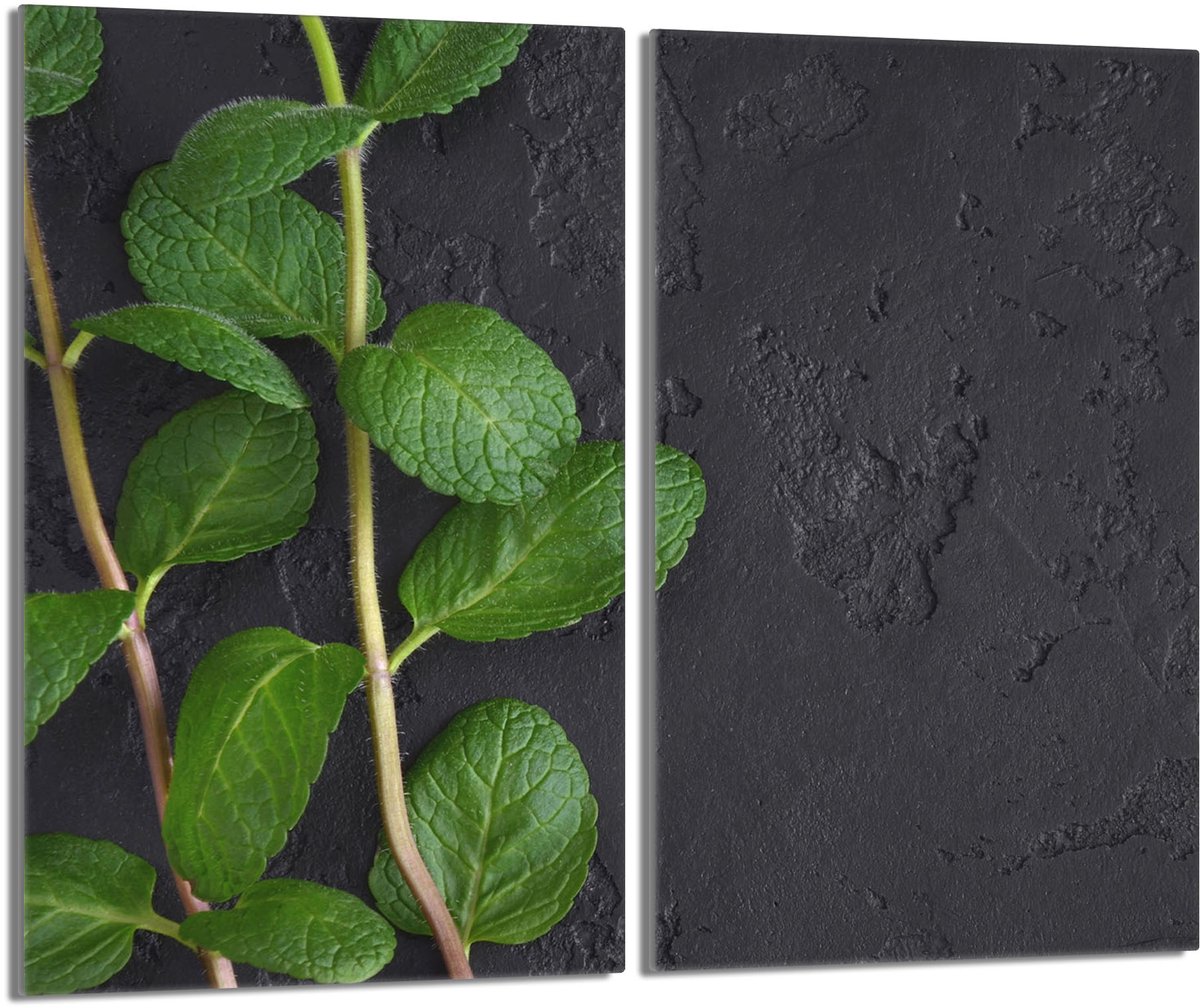 TMK ArtDeko Serie - Glazen Beschermplaat - 2x 30x52 - Miënta - Veilig en Multifunctioneel