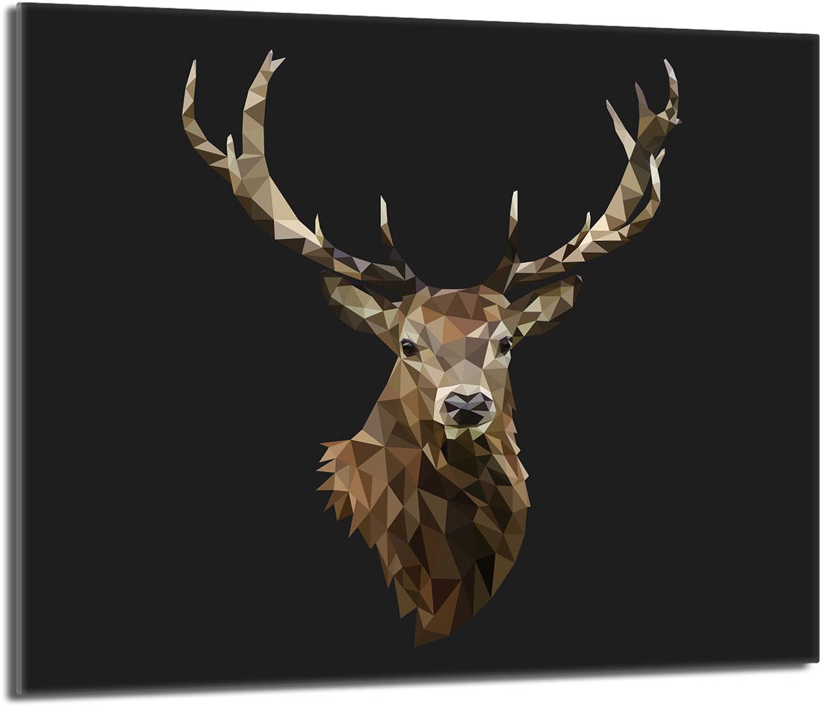 TMK ArtDeko - Serie 60x52 - Glazen Beschermplaat - Hittebestendig - Antibacterieel