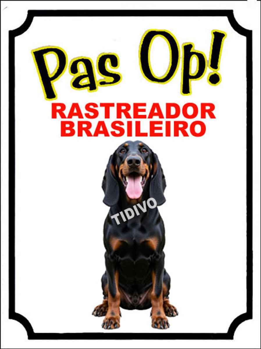 Rastreador Brasileiro 16