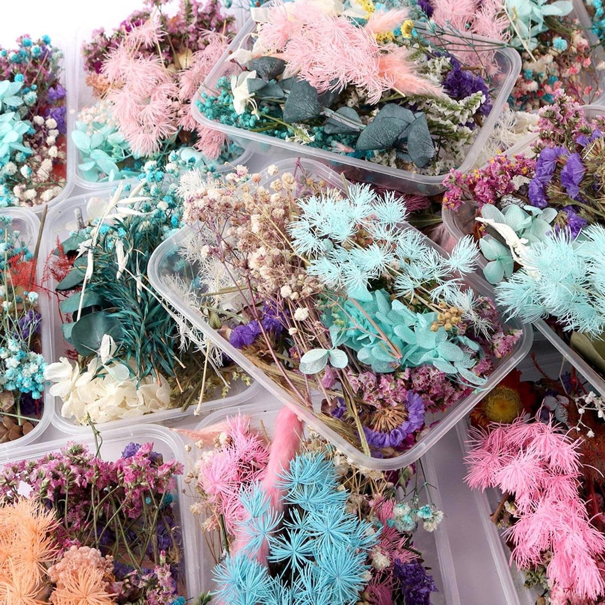 Gemengde gedroogde bloemen set voor ambachtelijke projecten en decoratie