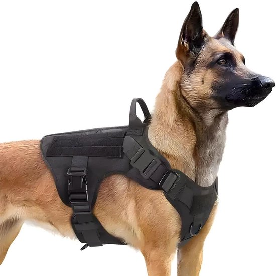 Harnais tactique noir sur un chien, avec système MOLLE, sangles ajustables et poignée.