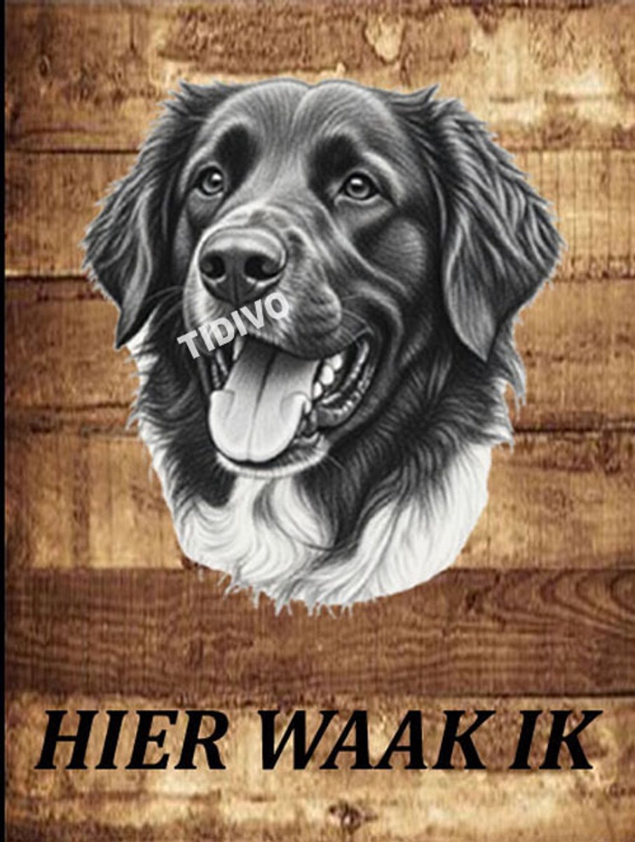 Stabijhound 20