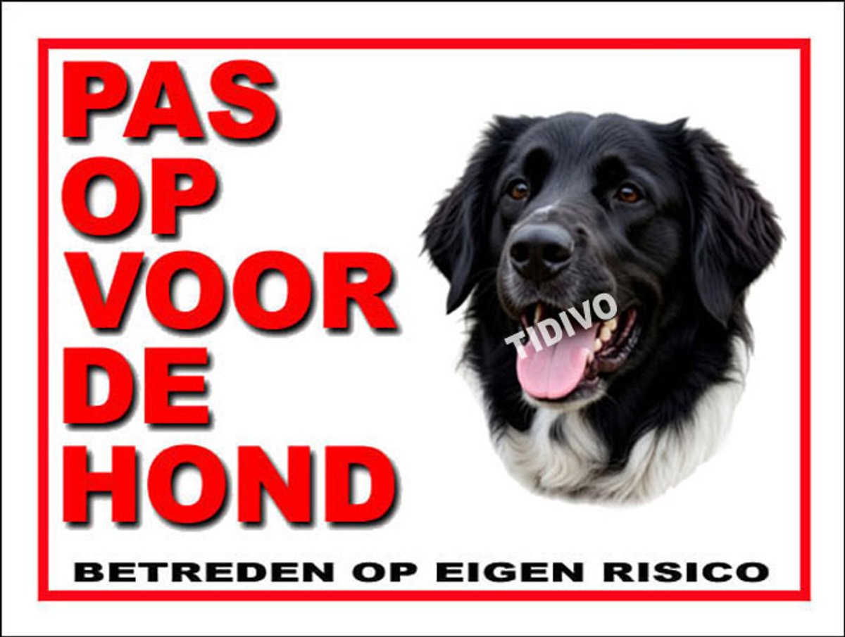 Stabijhound 13