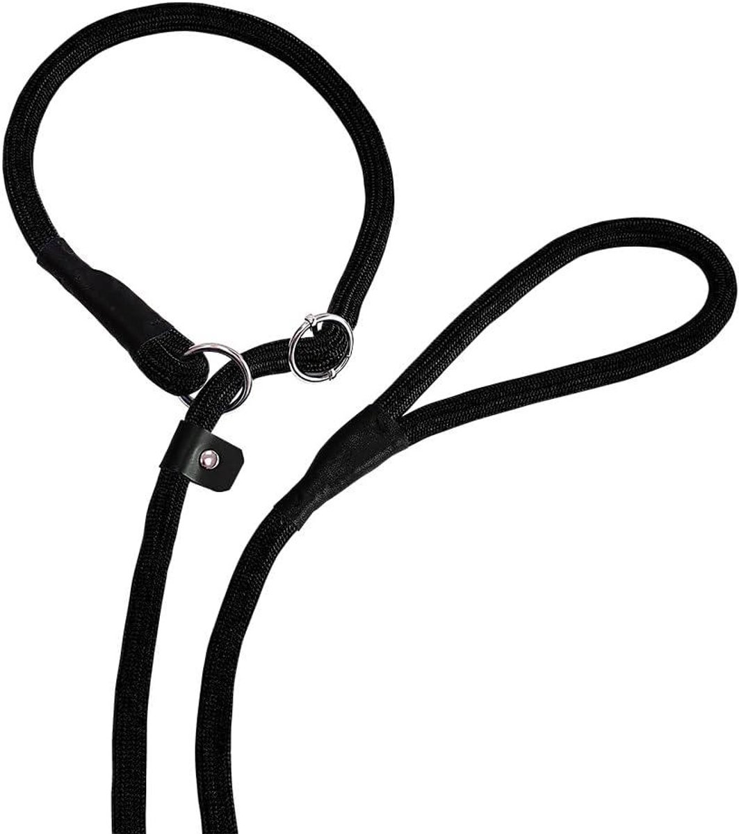 Hondenlijn - Hondenriem - Dagelijks Gebruik - Geïntegreerde Halsband - 170 m - Zwart