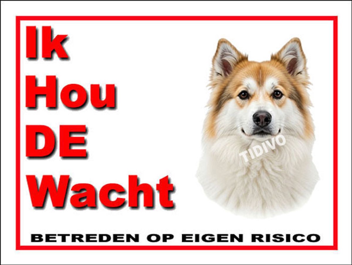 Thai Bangkaew Dog 7