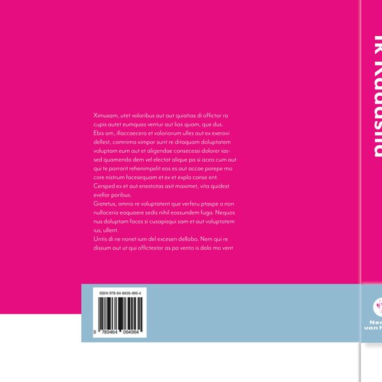Boekomslag 'Ik Raadslid' met roze achtergrond, tekst en ISBN-nummer.