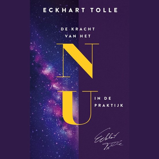 De kracht van het Nu in de praktijk - cover