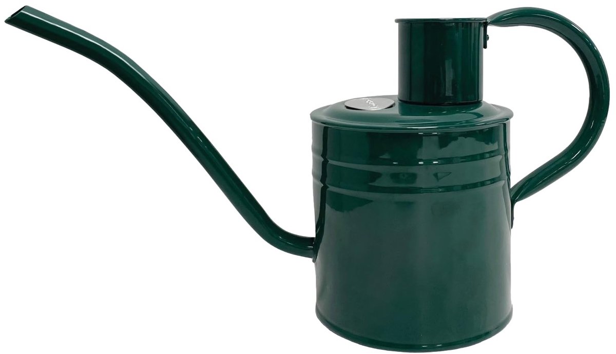Dailygoody - Metalen Gieter - Tuinieren - 2 Liter - Groen - Handig voor binnen en buiten - Perfect voor planten - Compact formaat