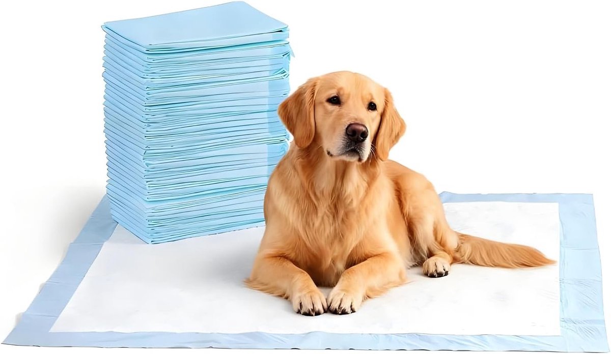 Training Pads voor Honden en Puppy’s - 40 Stuks, 60 x 60 cm, Lekvrije Mat met Sneldrogende Oppervlakte, Ideaal voor Zindelijkheidstraining en Binnengebruik