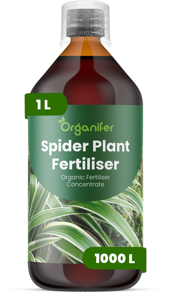 Vloeibare Meststof Voor Graslelie 1 L Voor 1000 L - Npk 2-1-8 - Ondersteunt Gezonde Groei - Versterkt Bonttekening En Bladkleur - Ondersteunt Plantvitaliteit En Visuele Kwaliteit - Ondersteunt De Vorming Van Gezonde Uitlopers - Organifer