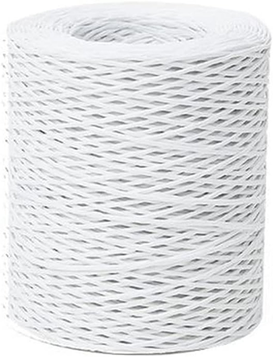 Floral Wire van 656 Feet, 2mm Tie Wrap Touw, Papieren Bedekte Rustieke Lianen voor Bloemstukken, Bruidskronen, Wreaths en DIY Decoraties voor Trouwen