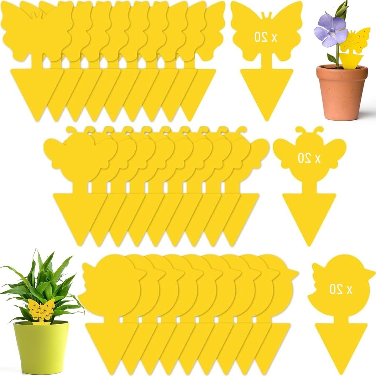Effectieve Gele Stickers voor Bestrijding van Fungus Gnats - 60 Stuks voor Binnenplanten, Potgrond en Vleesetende Planten