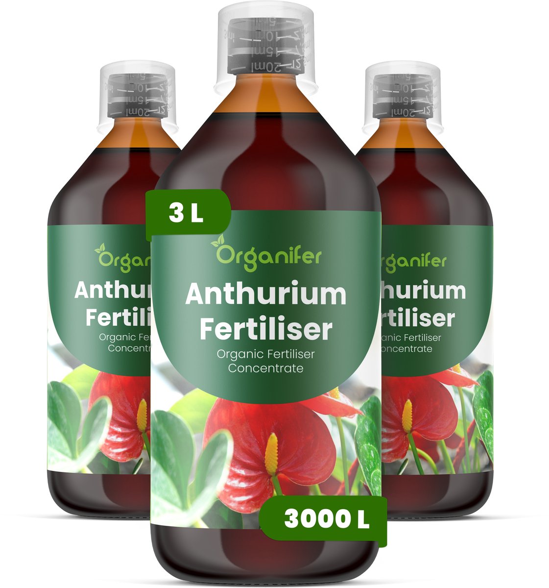 Vloeibare Meststof Voor Anthurium 3X1 L Voor 3000 L - Npk 3-4-3 - Overvloedige Bloei - Levendige Schutbladen - Kleurintensiteit - Sterke Wortelontwikkeling - Rechtopstaande Stele - Lage Luchtvochtigheid - Diepgroen Glanzend Blad - Organifer