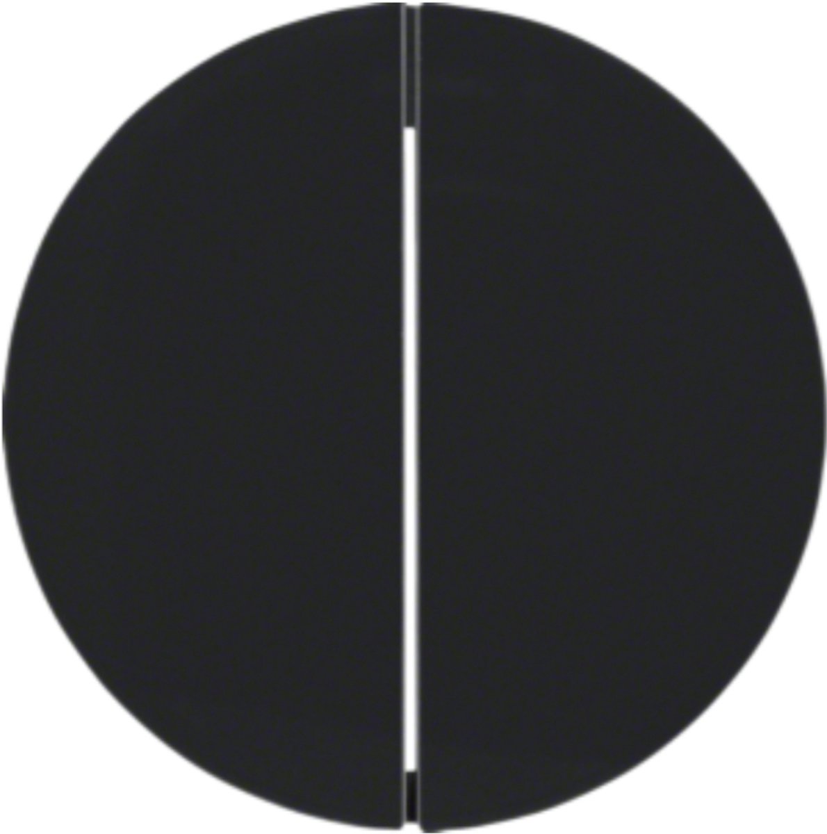 Hager Berker drukknop 2-voudig - R.1/R.3 zwart (85142131)