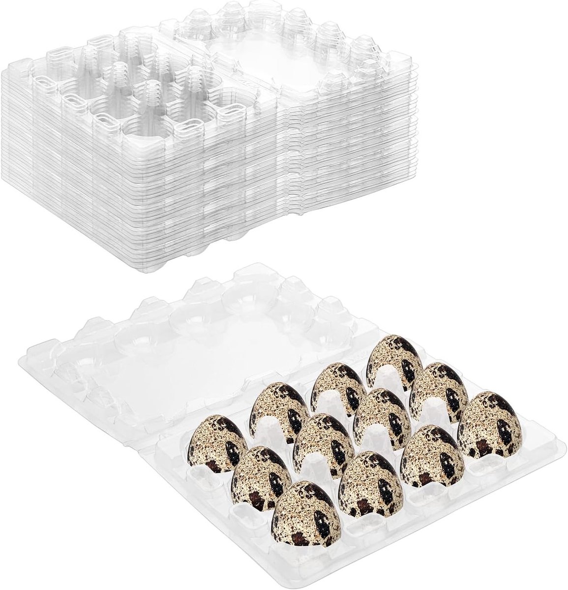 Plastic dozen voor kwartel eieren met deksel, 12 vakken, transparant, ideaal voor koelkast en opslag van eieren