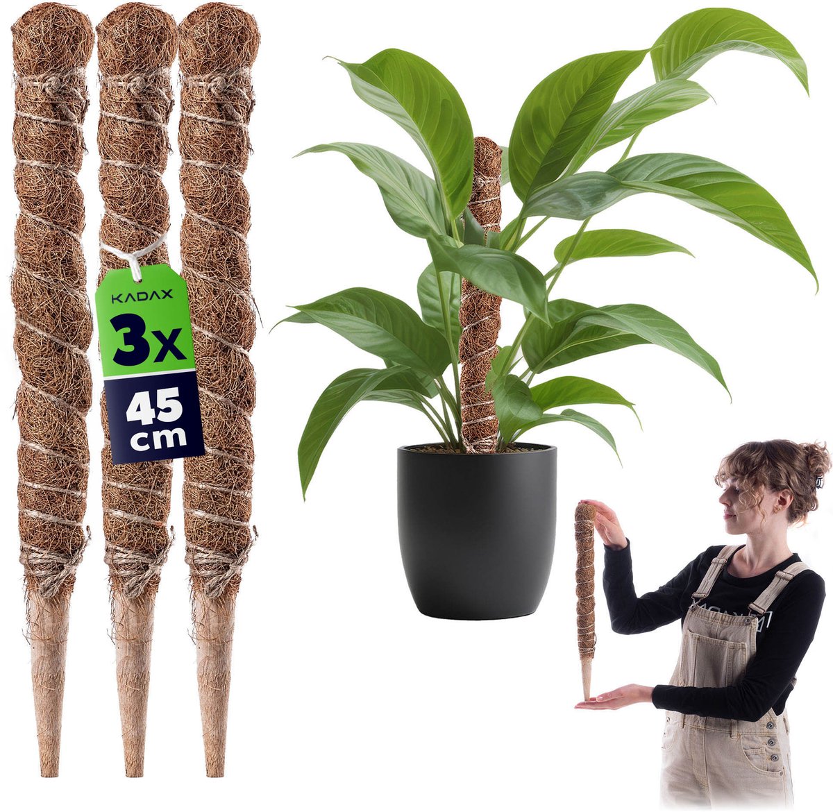 Cande kokosplantensteun 45 cm potondersteuning 3 st.