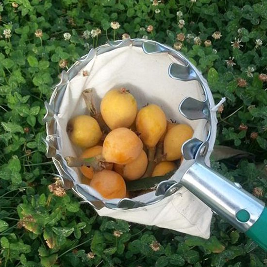 Fruitplukgereedschap, fruitplukkers, metalen tuinplukkers met opvangzak voor het oogsten van appels, citrusvruchten, peren, perziken, tuingereedschap — afbeelding 3