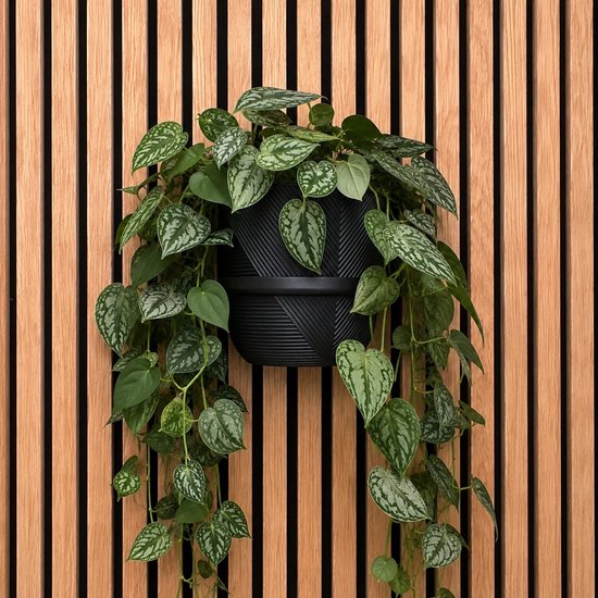 Complete Plantenhouder Set voor Akoestische Panelen – Inclusief 14 x 12,3 cm Plantenpot & Ring – Zonder Boren of Met Schroef – Zwart – 10-18 mm