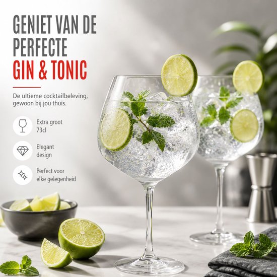 alpina Cocktailglazen 4 Stuks - Glazen voor Gin Tonic, Aperol Spritz en Cocktails - Gin & Tonic Glas 73 cl - Cocktailset - Glas