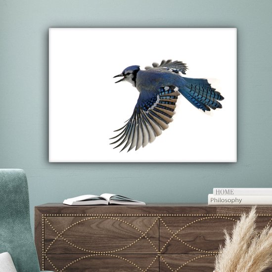 Blue Jay devant toile fond blanc 2cm 80x60 cm - impression photo sur toile peinture Décoration murale salon / chambre à coucher) / Animaux sauvages Peintures Toile