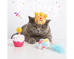 FOFOS™ Verjaardagsspeelgoed voor Katten – 3 Kattenspeeltjes met Gift Bag – Voor Katten Verjaardag & Cadeau (Cat Birthday Party Set of 3 Toys - Crown Balloon Cake)