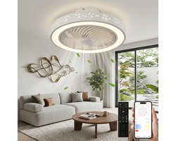 MUPOO modern plafondventilator met LED verlichting met wintermodus -App & Afstandsbediening- Ø 46cm - Stil DC Motor &6 windsnelheden- Dimbaar&3 kleurtemperaturen- Sterrenhemel- ventilator lamp Voor Woonkamer & Slaapkamer