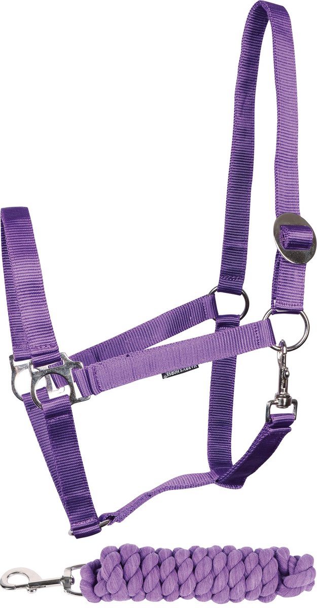 Halsterset Initial violet shetland