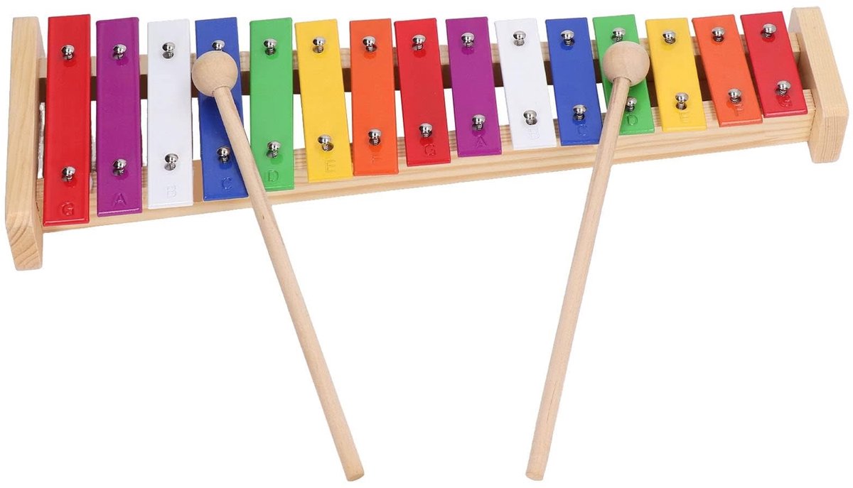 Dailygoods - Dailygoody - Xylofoon 15 Noten - Educatief Speelgoed - Kleurrijk - Muziek Instrument - Geschikt voor Kinderen - Inclusief 2 Hamers