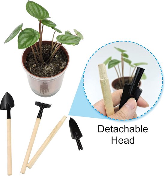 Set van 3 draagbare mini-tuingereedschappen - miniatuur tuinhark, troffel en schep voor zaaien, bonsai, vetplanten, kruiden, terraria en aanplant van Merkloos	 — afbeelding 5