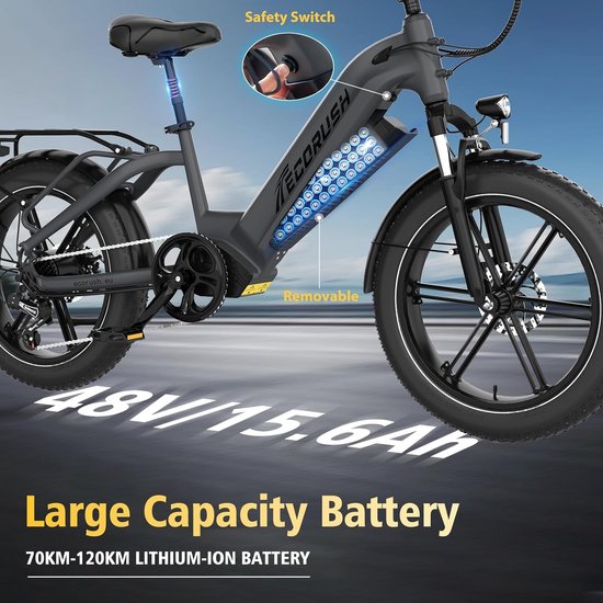 ECORUSH Vélo électrique ECO R6 - 20*4,0 pouces Fat Tire City Commuter EBike avec batterie au lithium amovible 48V 15,6 Ah - Vélo électrique de montagne avec moteur 250W - 7 vitesses - IP54 étanche