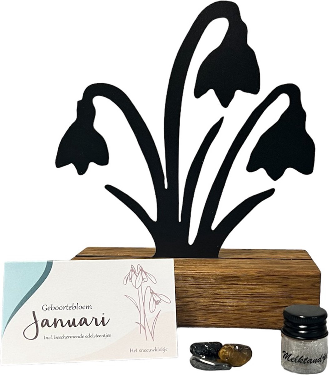 Goedkoopste Kraamcadeau - geboortebloem beeld- Januari- Sneeuwklokje - mét tandendoosje / potje / haarlokpotje en beschermende edelsteentjes - metaal in houten sokkel - uniek design