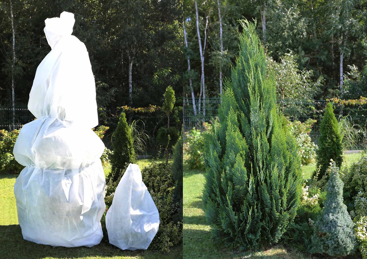 Witte, winterbeschermhoes voor planten 50 g/m²