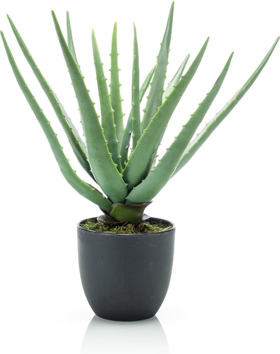 Set Van 2 Kunstmatige Laurierbomen, 120 Cm Kunstplanten In C