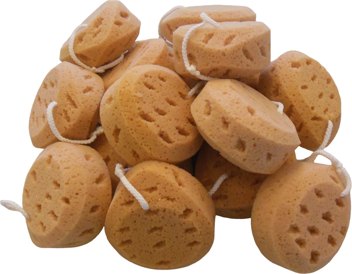 Goedkoopste 8x Badspons met koord - verkleurd