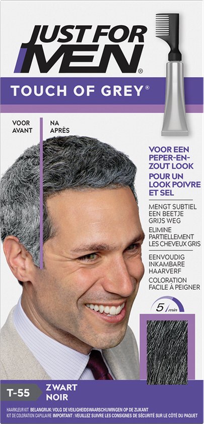 Just For Men Touche de Gris H55