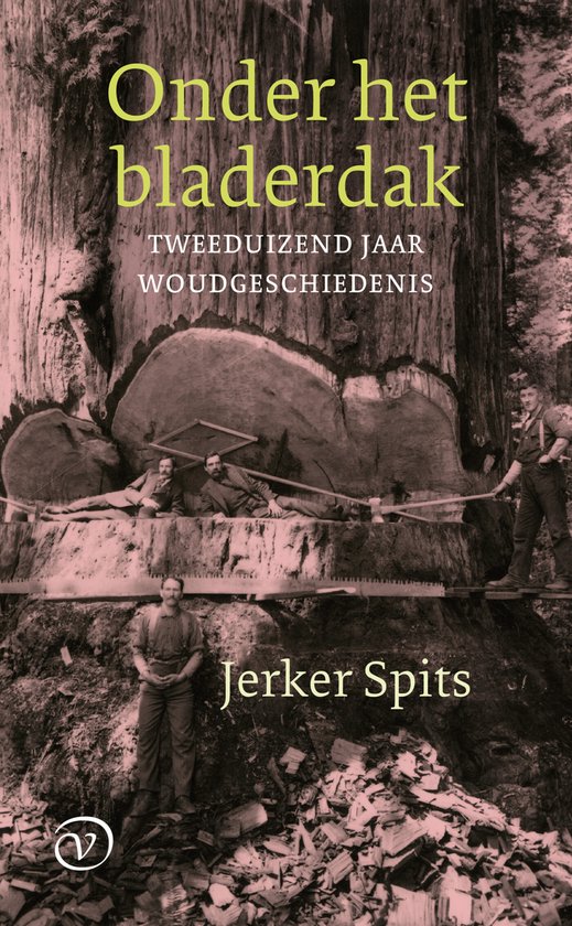 Onder het bladerdak - cover