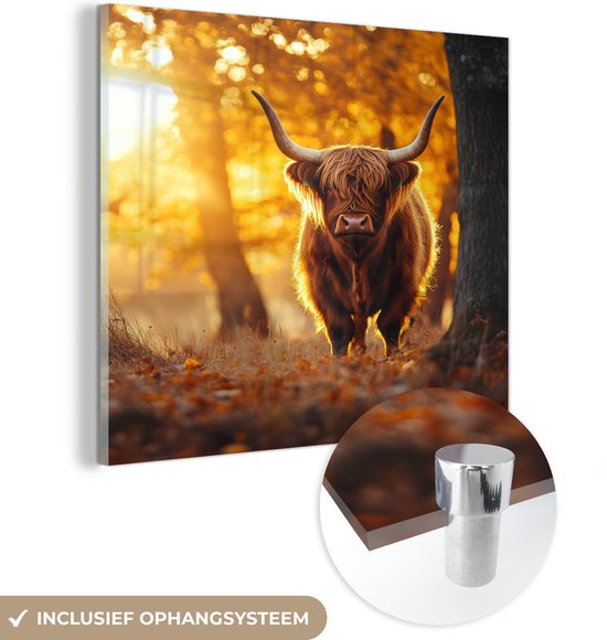 MuchoWow® Glasschilderij 20x20 cm - Schilderij acrylglas - Schotse hooglander - Bos - Herfst - Dieren - Natuur - Bladeren - Foto op glas - Muurdecoratie woonkamer - Wanddecoratie slaapkamer - Schilderijen