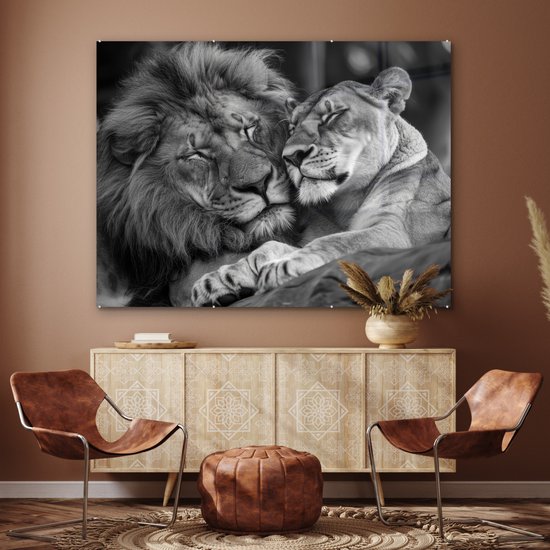 MuchoWow® Glasschilderij 160x120 cm - Schilderij acrylglas - Leeuwen - Dieren - Zwart - Wit - Leeuw - Foto op glas - Muurdecoratie woonkamer - Wanddecoratie slaapkamer - Schilderijen