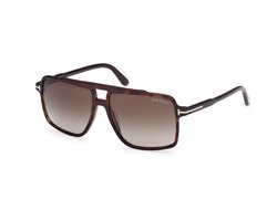 TF1177 52B - Bruin